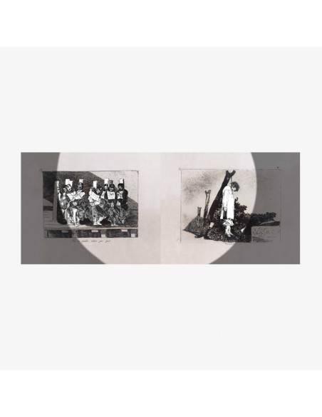 Farideh Lashai. "Cuando cuento estás solo tú… pero cuando miro hay solo una sombra"