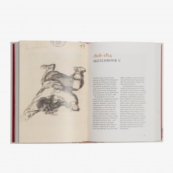 Goya. Drawings. Only my... 2