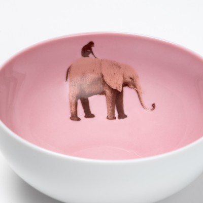 Bosch bowl Bosch bowl